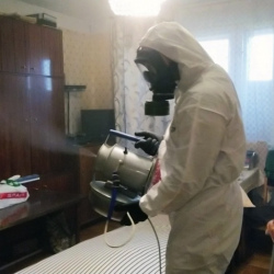 Дезинфекция от клопов в Новодвинске